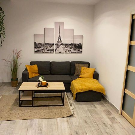 Le Duplex De Paris Apartment Chalon-sur-Saone Luaran gambar
